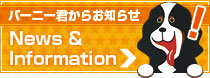 oj[N̂m点